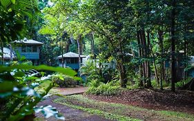 Ferntree Rainforest Lodge