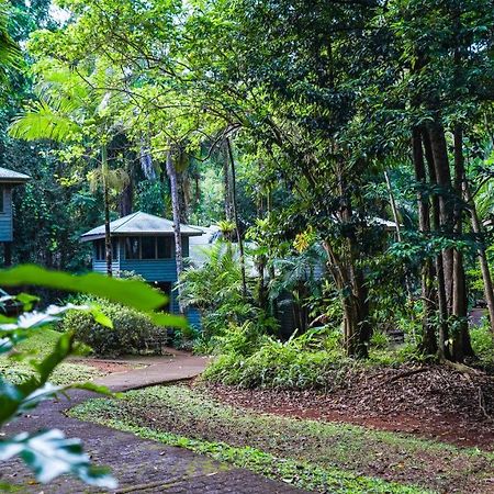 Ferntree Rainforest Lodge Cape Tribulation Buitenkant foto