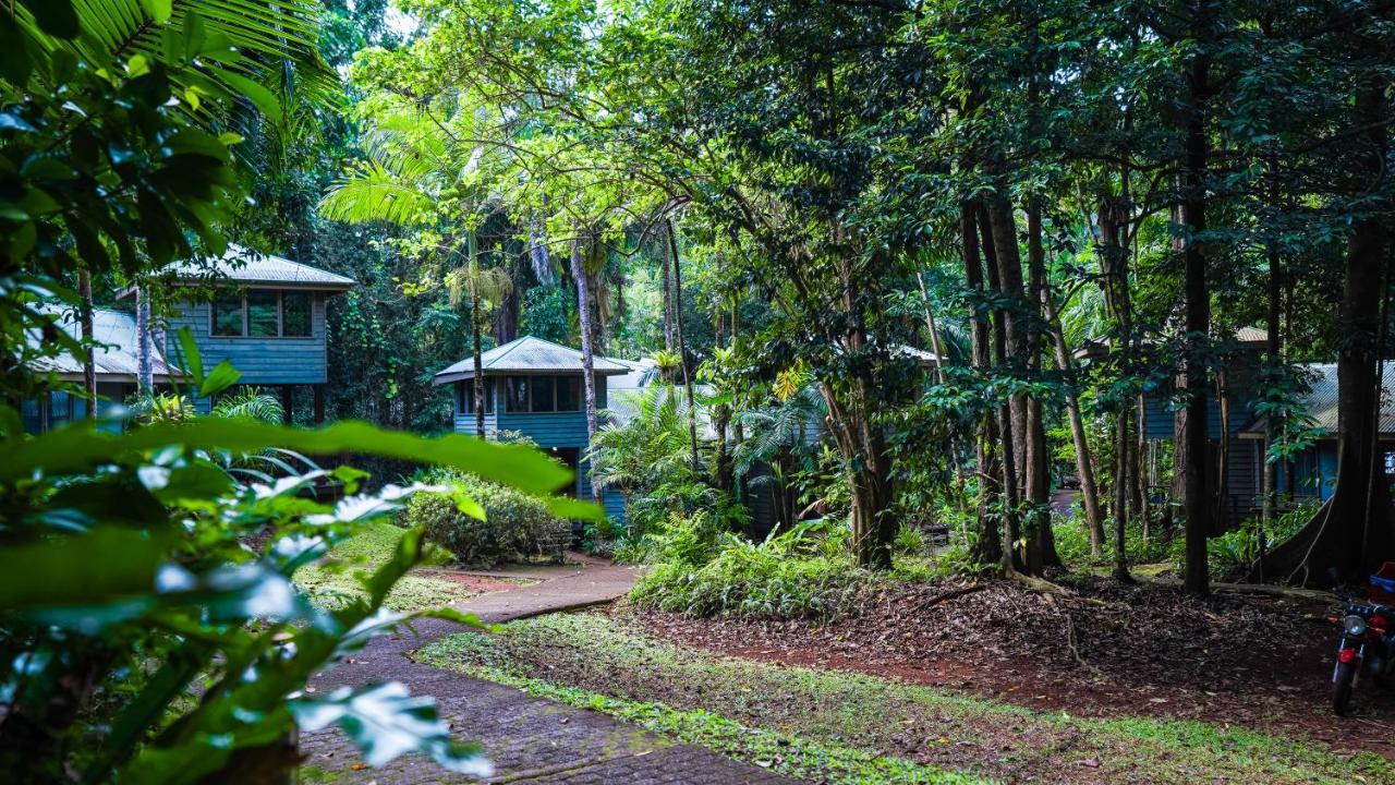 Ferntree Rainforest Lodge Cape Tribulation Buitenkant foto