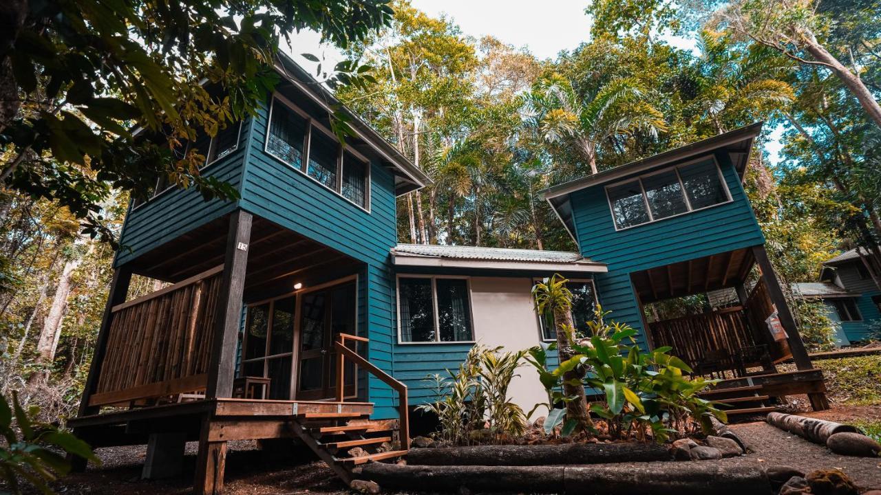 Ferntree Rainforest Lodge Cape Tribulation Buitenkant foto