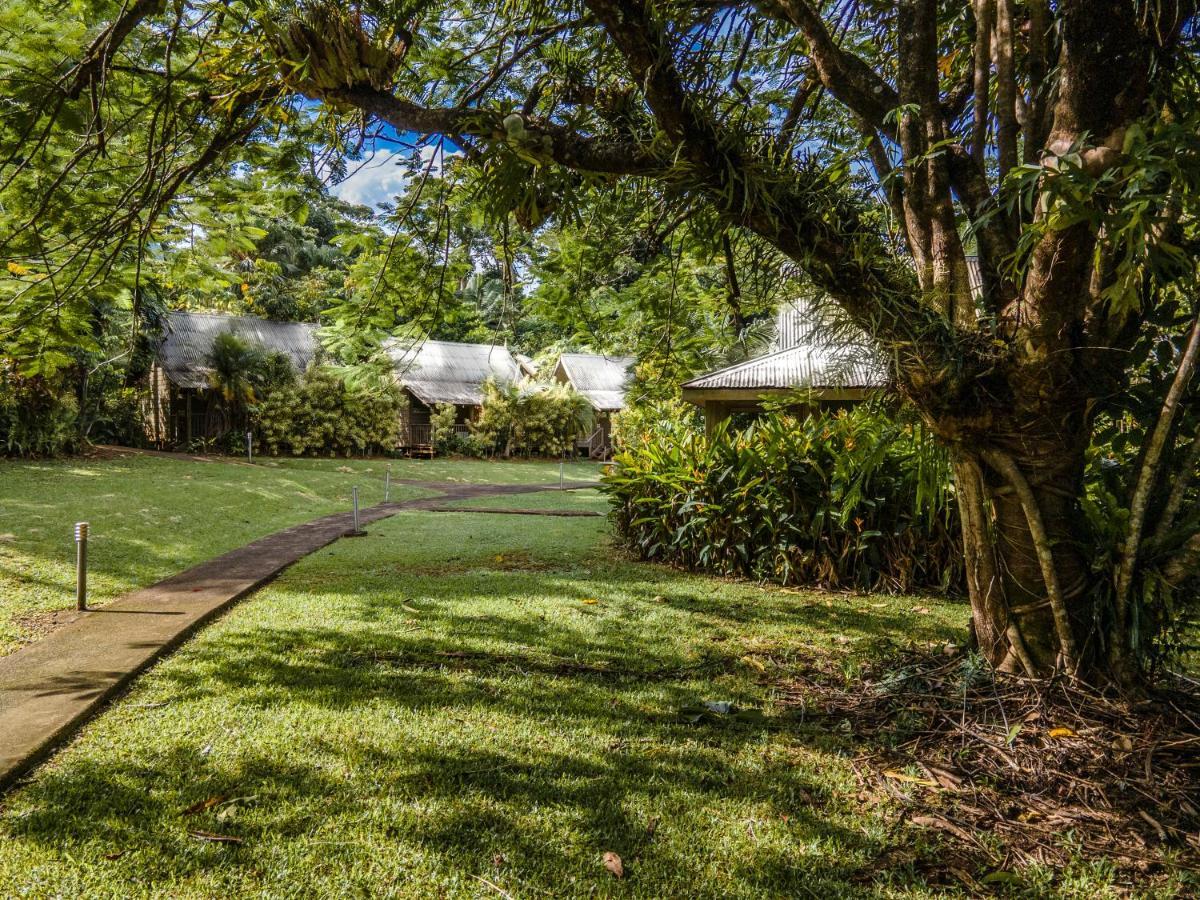 Ferntree Rainforest Lodge Cape Tribulation Buitenkant foto