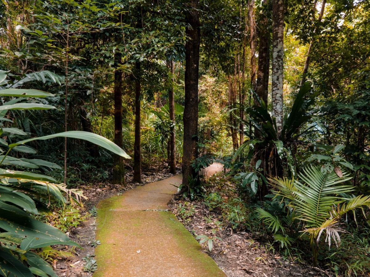 Ferntree Rainforest Lodge Cape Tribulation Buitenkant foto