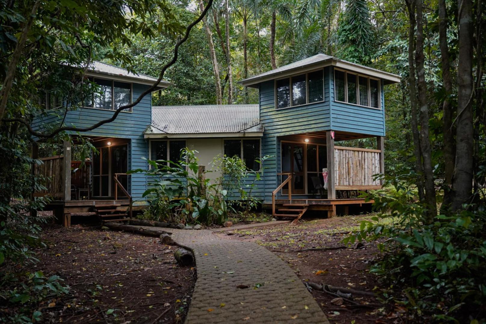 Ferntree Rainforest Lodge Cape Tribulation Buitenkant foto