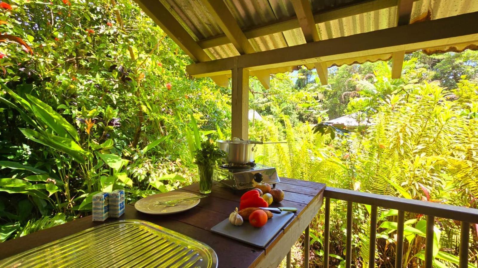 Ferntree Rainforest Lodge Cape Tribulation Buitenkant foto