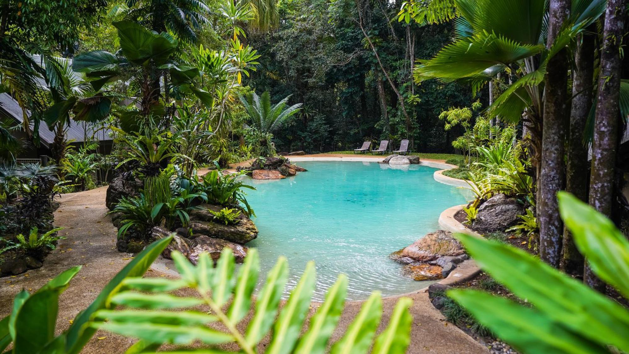 Ferntree Rainforest Lodge Cape Tribulation Buitenkant foto