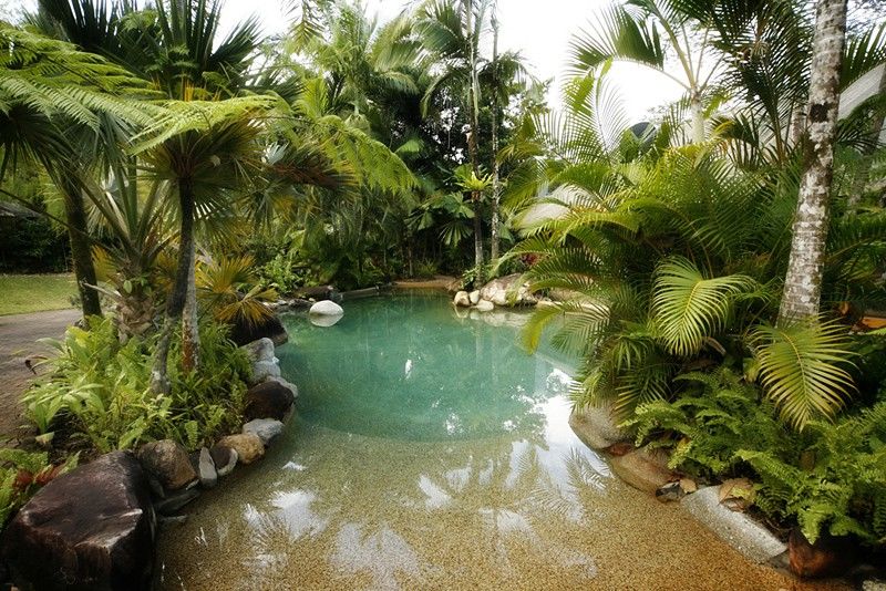 Ferntree Rainforest Lodge Cape Tribulation Faciliteiten foto