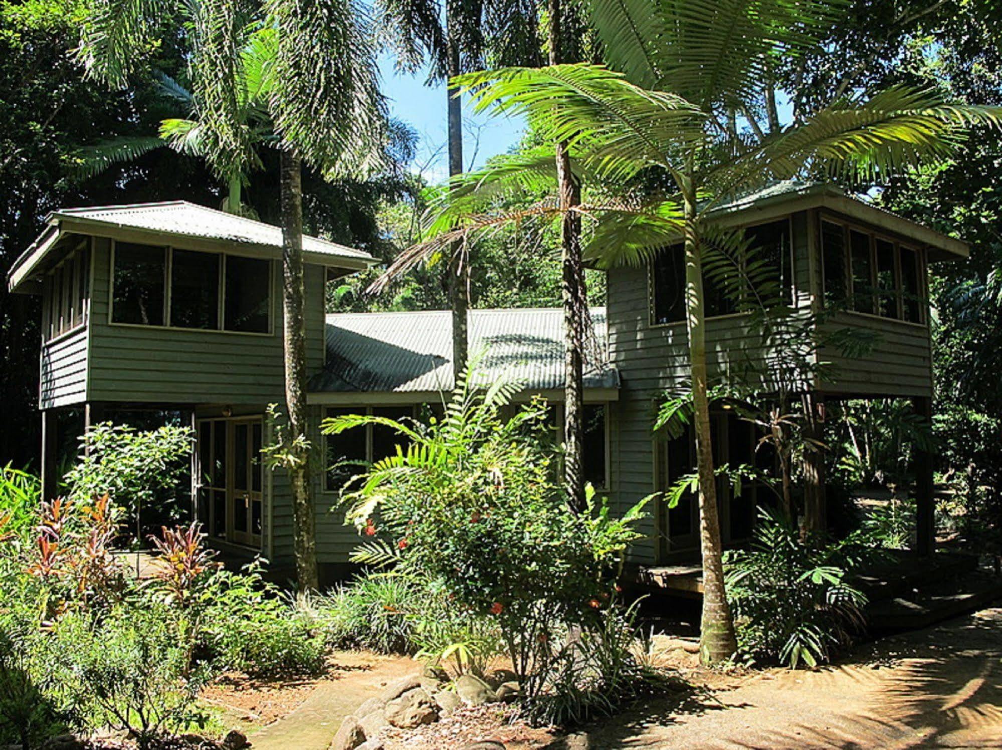 Ferntree Rainforest Lodge Cape Tribulation Buitenkant foto