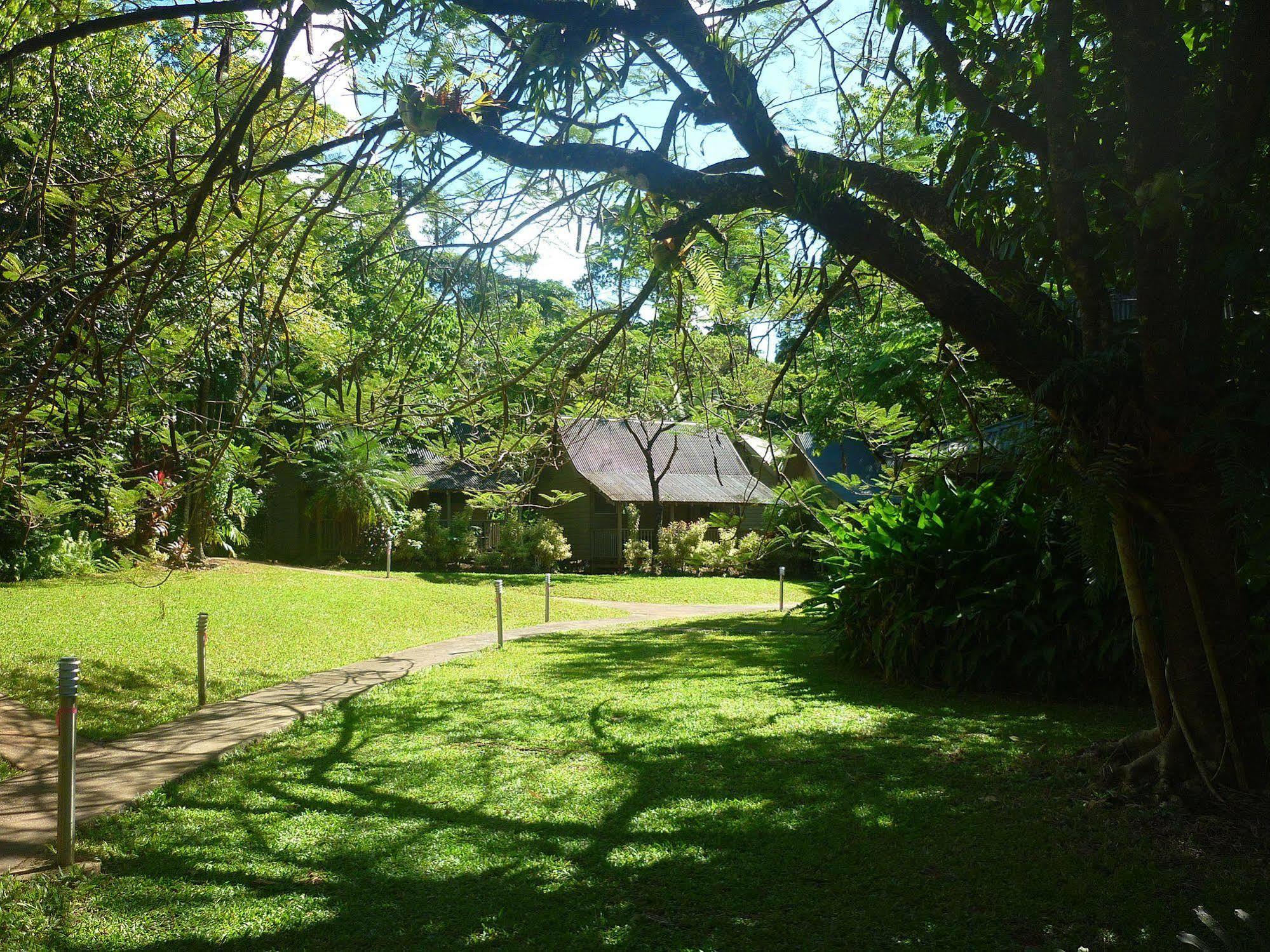 Ferntree Rainforest Lodge Cape Tribulation Buitenkant foto