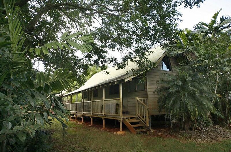 Ferntree Rainforest Lodge Cape Tribulation Buitenkant foto