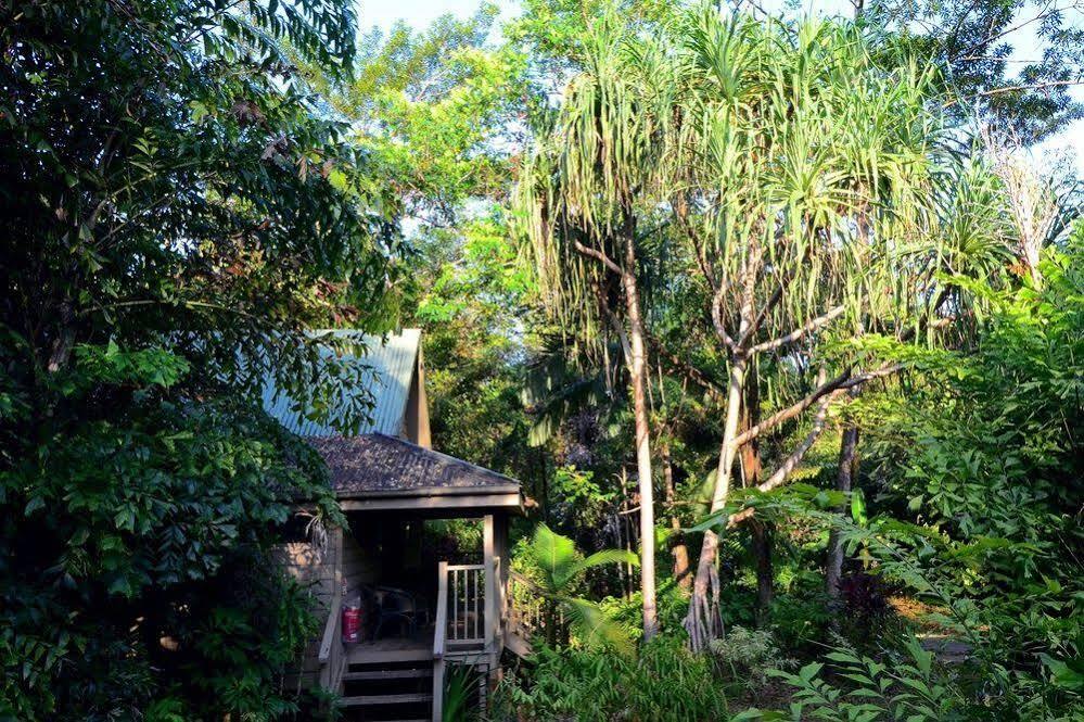 Ferntree Rainforest Lodge Cape Tribulation Buitenkant foto