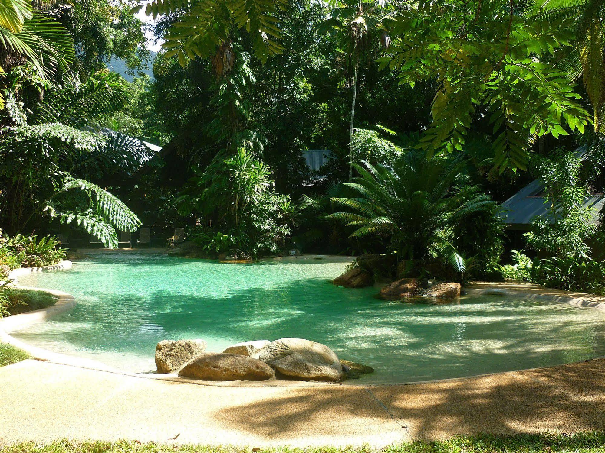 Ferntree Rainforest Lodge Cape Tribulation Buitenkant foto
