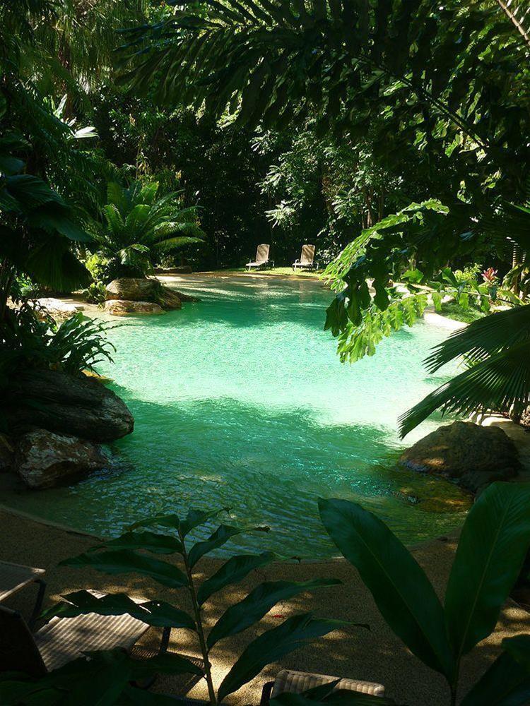 Ferntree Rainforest Lodge Cape Tribulation Buitenkant foto